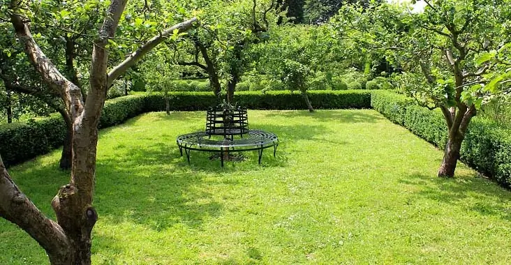 Jardín de una casa delimitado con arbustos pequeños Jardín de una casa delimitado con arbustos pequeños