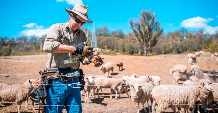 Los trabajadores del campo utilizando postes y alambre o malla de gallinero para impedir el paso de animales pequeños en el patio de una casa Los trabajadores del campo utilizando postes y alambre o malla de gallinero para impedir el paso de animales pequeños en el patio de una casa