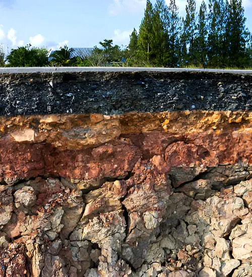 Distintas capas de suelo debajo de un área boscosa - Tipos de suelo