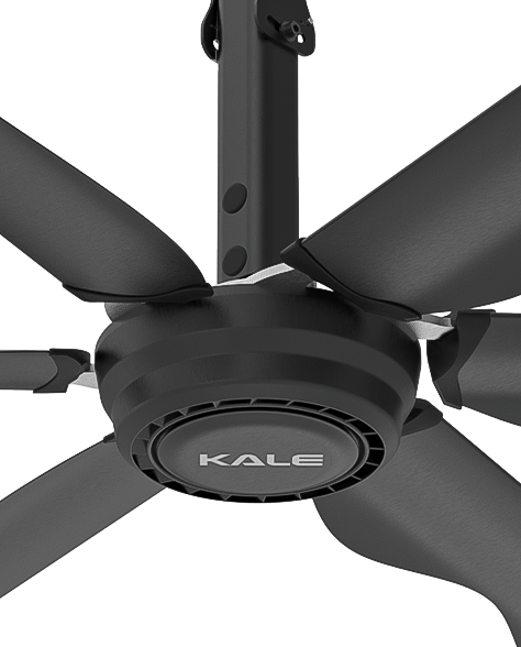 acercamiento-motor-aircool