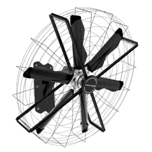airfree-destacada.png